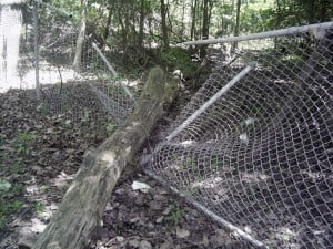chain-link-fence-repair