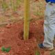 wooden fence post stability