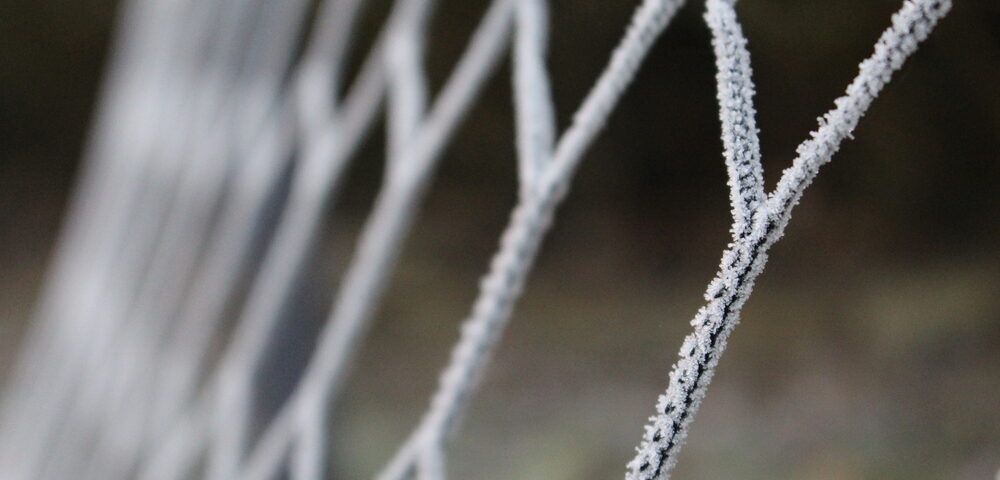 fence materials for cold climates