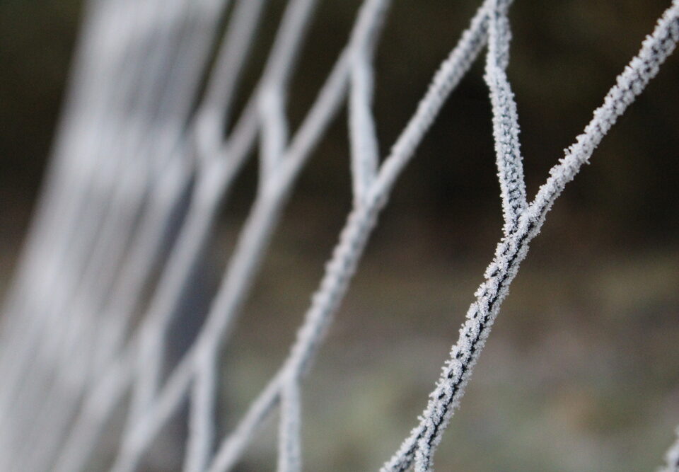 fence materials for cold climates