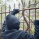 Security fencing benefits